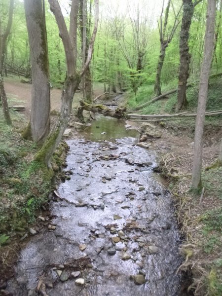 Rando des Badrais - St Didier Sous Riverie - 24 avril 2016